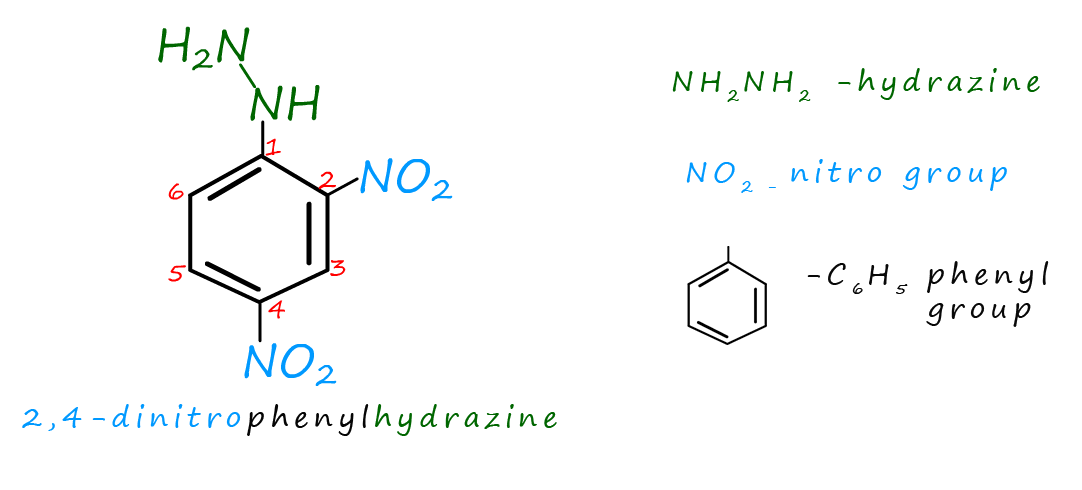 a molecule of 2,4-dinitrophenylhydrazine